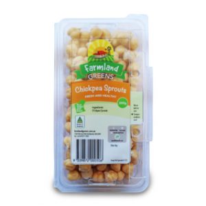 chickpea sprouts farmland greens