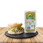 Alfalfa Broccoli Sprouts and Avocado Sandwich